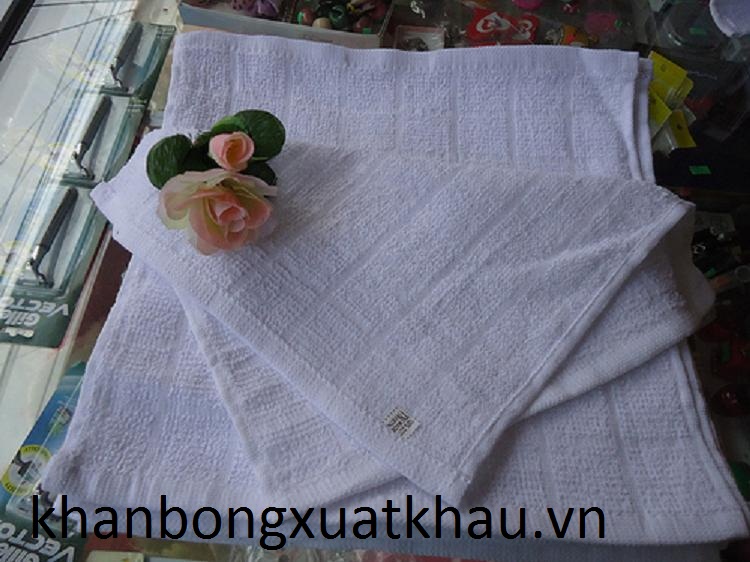 Napkin