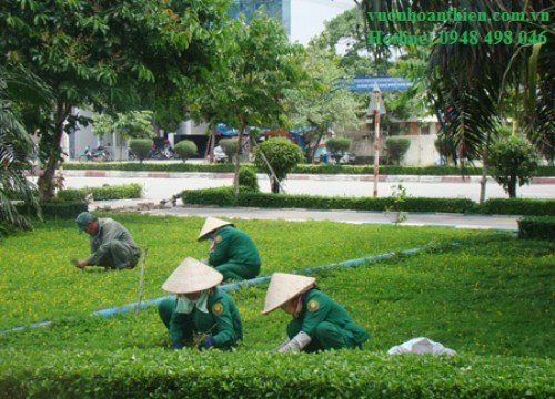 garden Care Services
