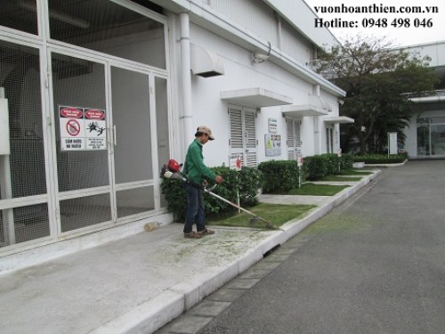 garden Care Services