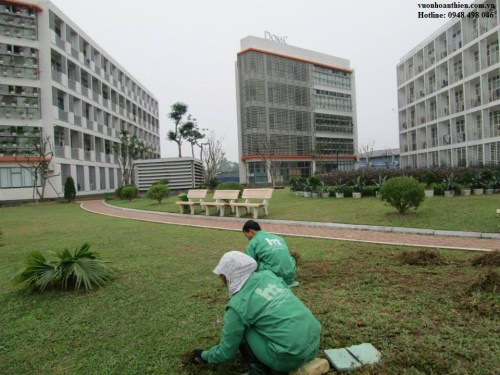 garden Care Services