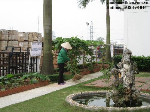 garden Care Services