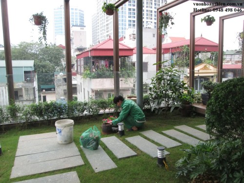 garden Care Services