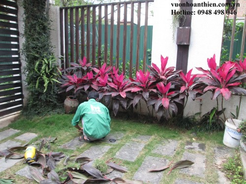 garden Care Services