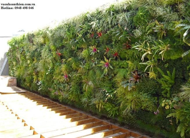 Vertical garden
