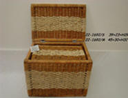 Fern and water hyacinth product