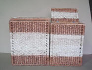 Fern and water hyacinth product