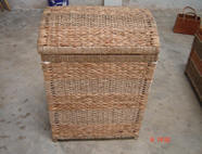 Fern and water hyacinth product