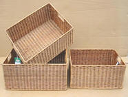 Fern and water hyacinth product