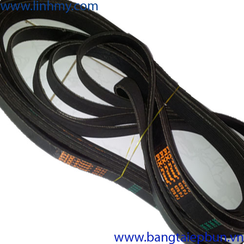 Belt