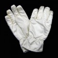 Cleanroom Gloves