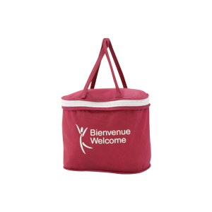 Vanaty Bordeaux Bag