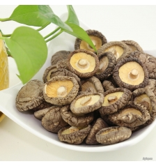 Mushroom flavor