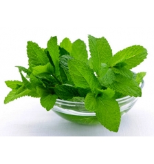 Mint flavor