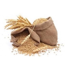 Barley flavor