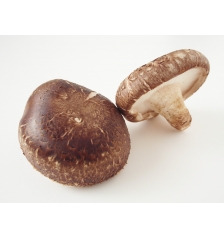 Mushroom flavor