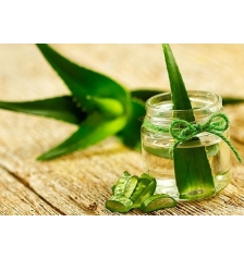 Aloe vera flavor
