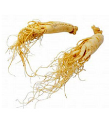 Ginseng flavor