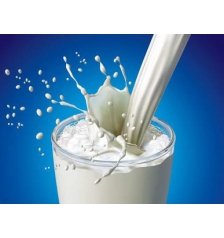 Milk flavor