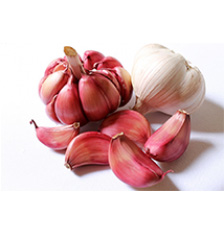 Garlic flavor