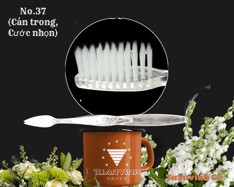 Tooth brush