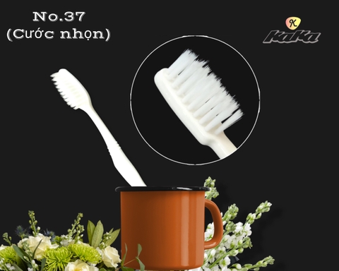 Tooth brush