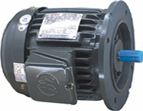 AC Induction Motor