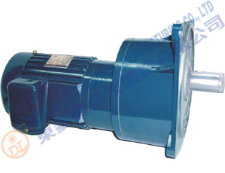 Flange motor
