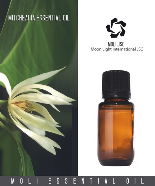 Michelia oil