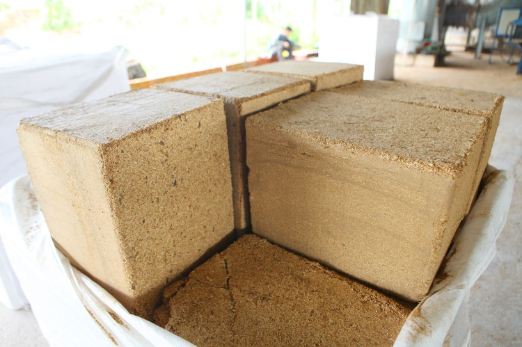 Bagasse