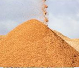 Sawdust