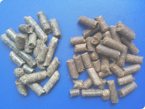 Sawdust