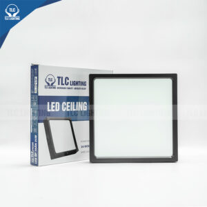 LED Ceiling Light