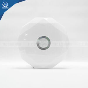 LED Ceiling Light