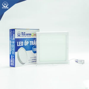 LED Ceiling Light