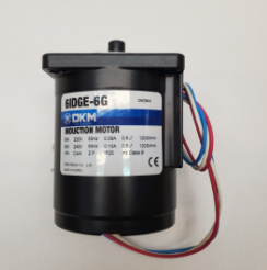 DKM motor