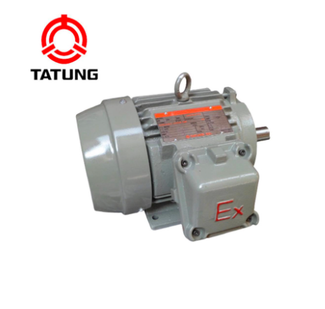 TATUNG motor