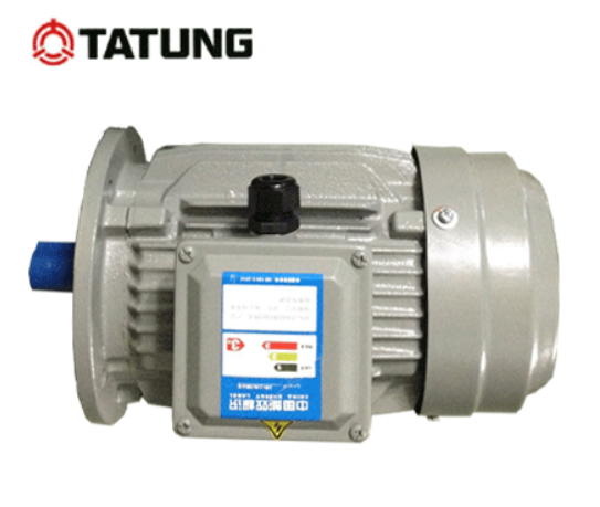 TATUNG motor