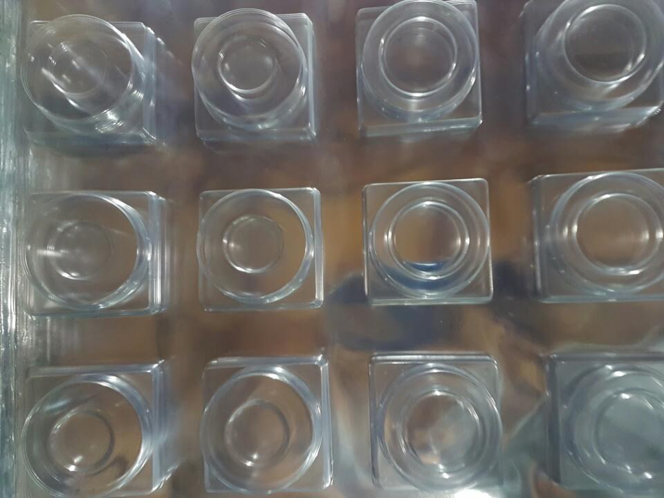 Plastic Formed Packaging
