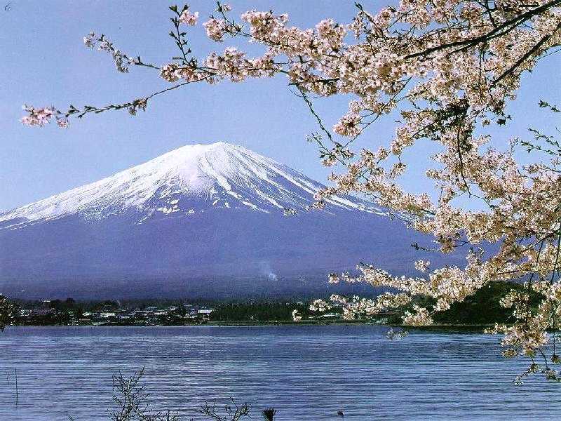 Japan tour