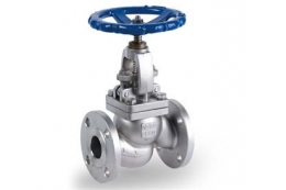 Globe valve