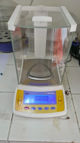 Kinh Bac Electronic Scales