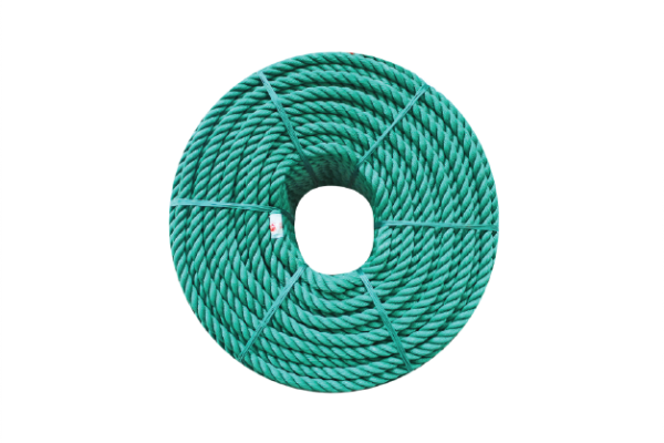 Lifeline