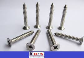 Stainless steel coach screw