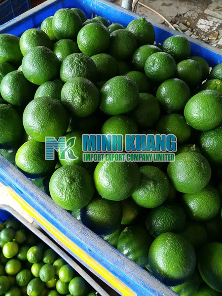 Lime