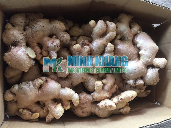 Fresh ginger