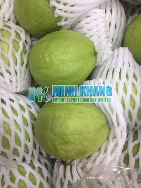 Guava