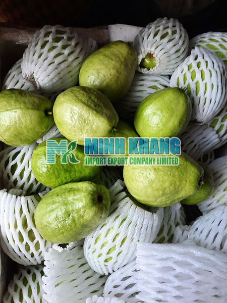 Guava