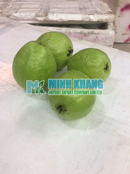 Guava