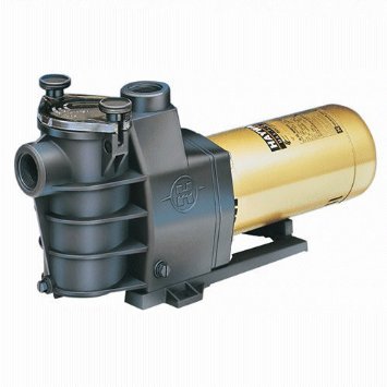 Hayward pump
