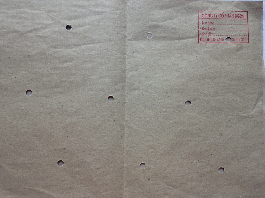 Perforated paper
